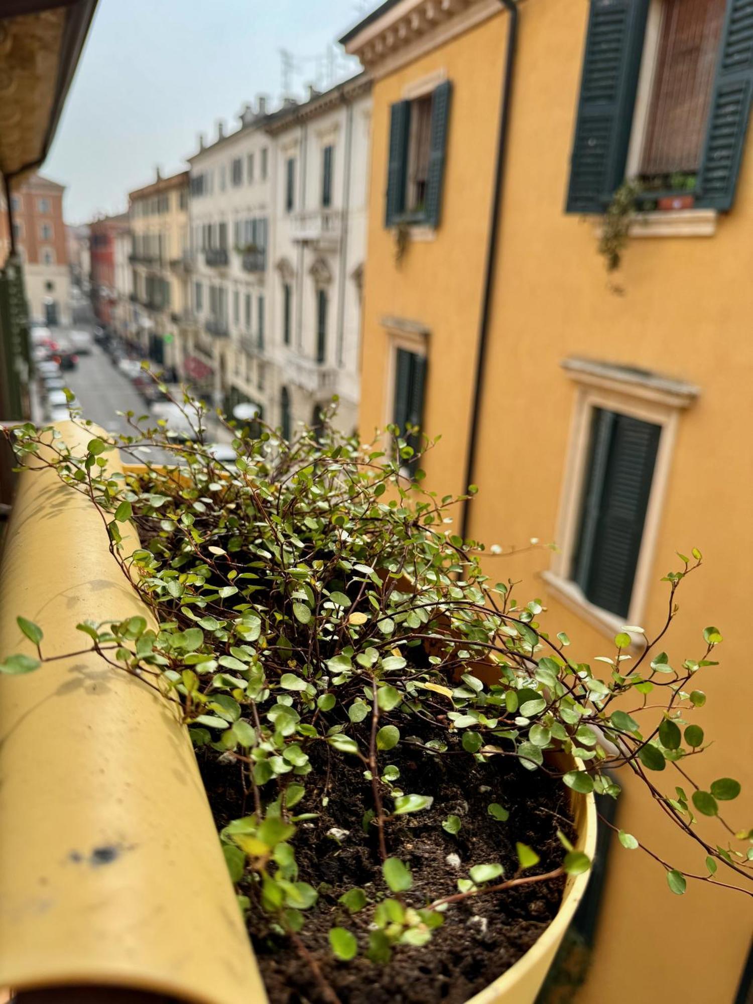 Domus Suites Verona Exterior foto